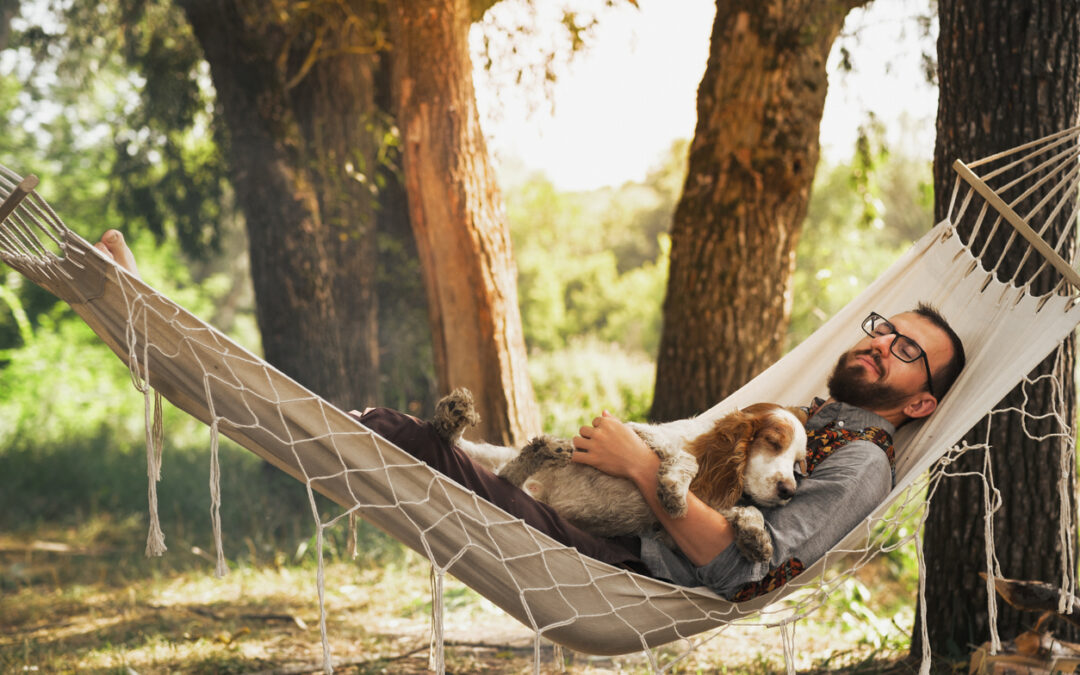 Soothing Dog Anxiety According to Experts